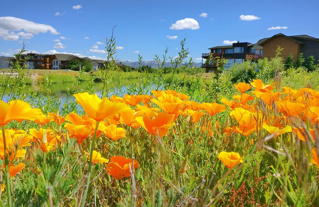 Villa Huapi-1